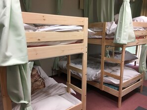 Dortoir Partagé, dortoir mixte, non-fumeur (10 Bed)