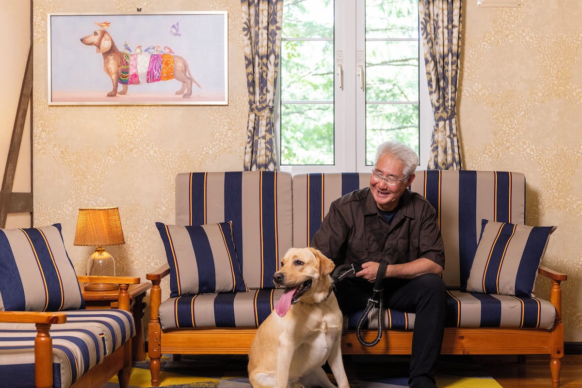 A living room with a sofa, a dog, and a person sitting on the sofa.