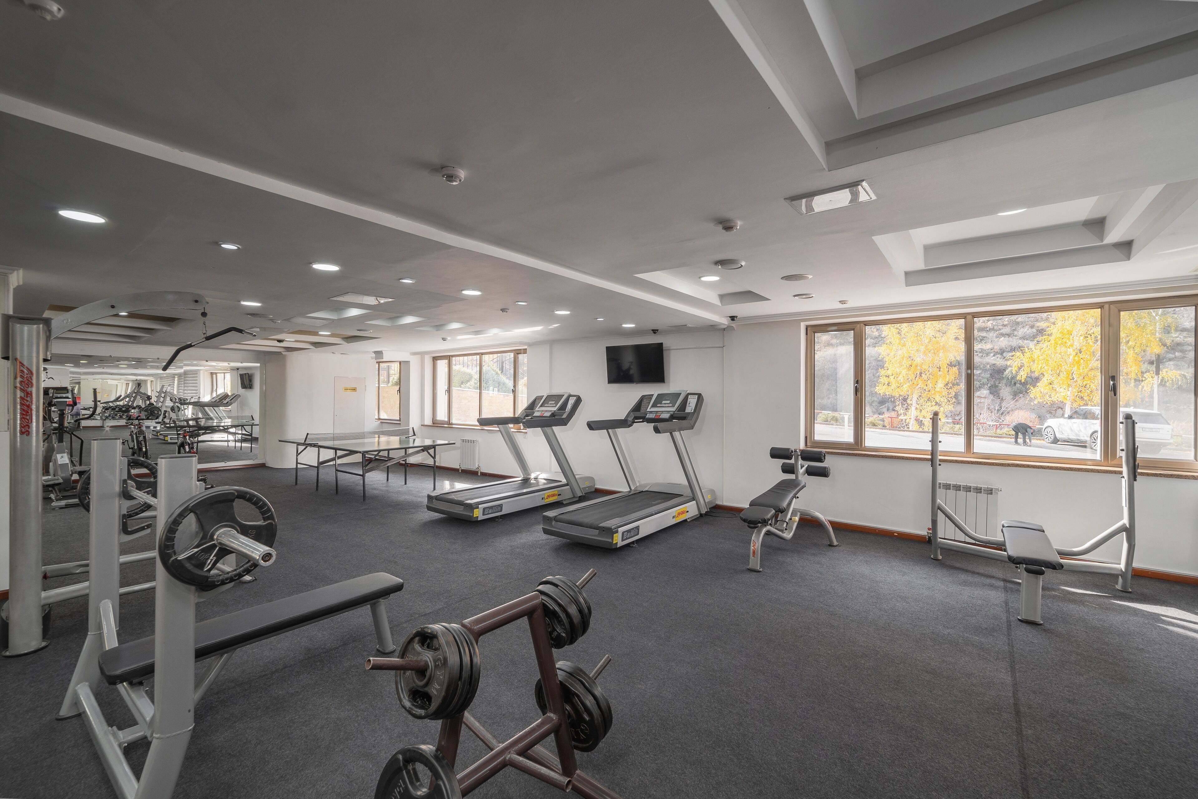 A gym with treadmills, weight machines, and benches.