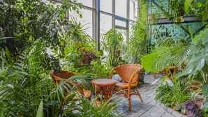 An indoor garden with wicker furniture and potted plants. - Jannat Resort (Koy-Tash)