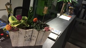 A desk with a wooden planter containing various plants and flowers. - Résidence Hôteliere Louise (Strasbourg)