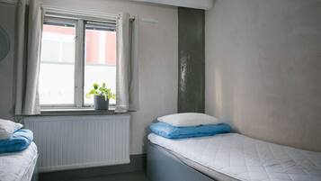 Una habitación pequeña con cama individual, ventana, radiador y una planta en maceta.