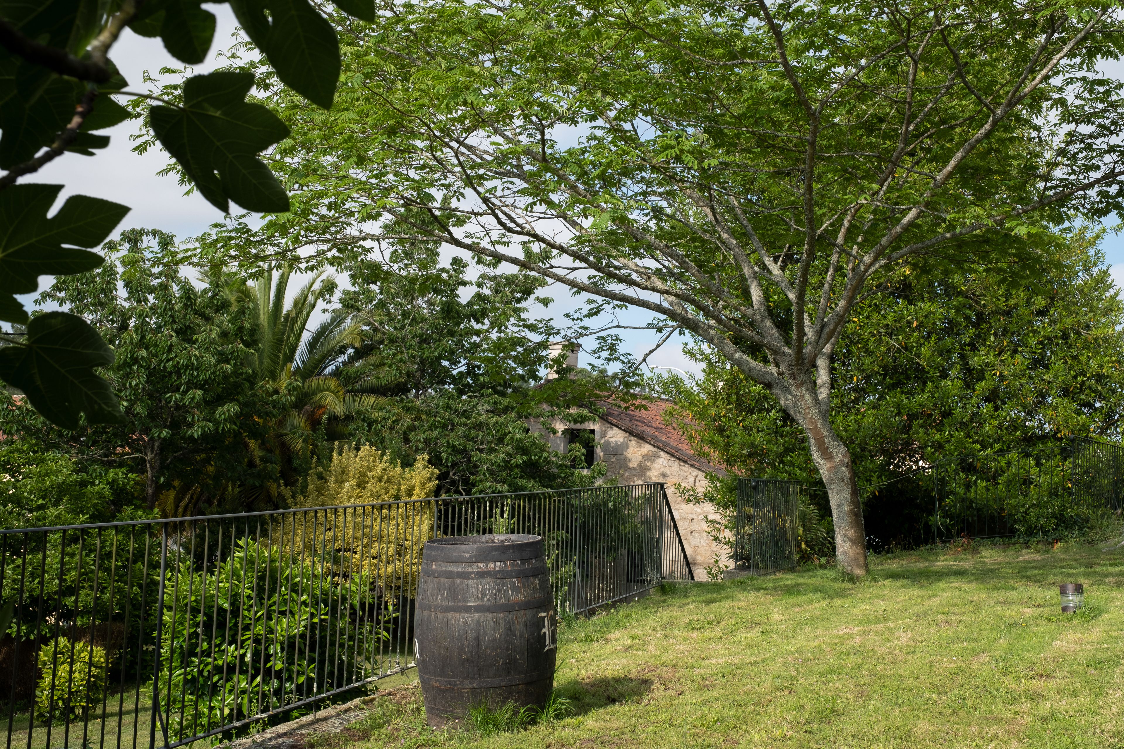 Photo - Asador de Roxos Casa Albardonedo