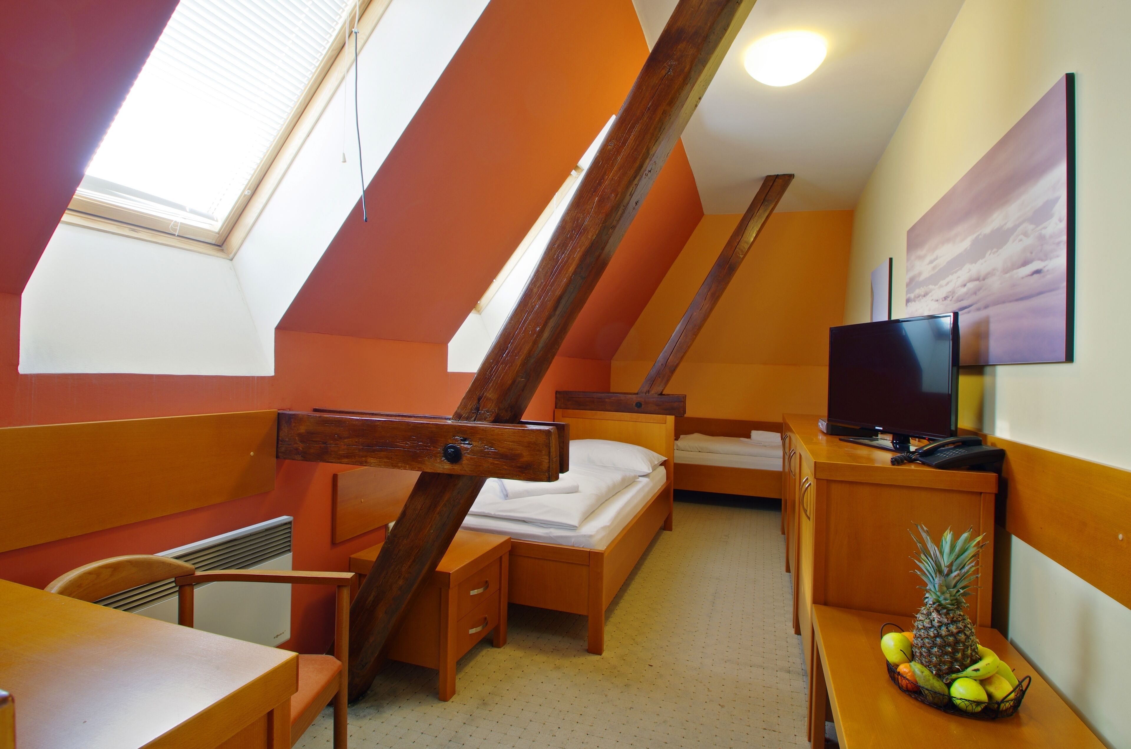 single room | minibar, desk, iron/ironing board, free wifi