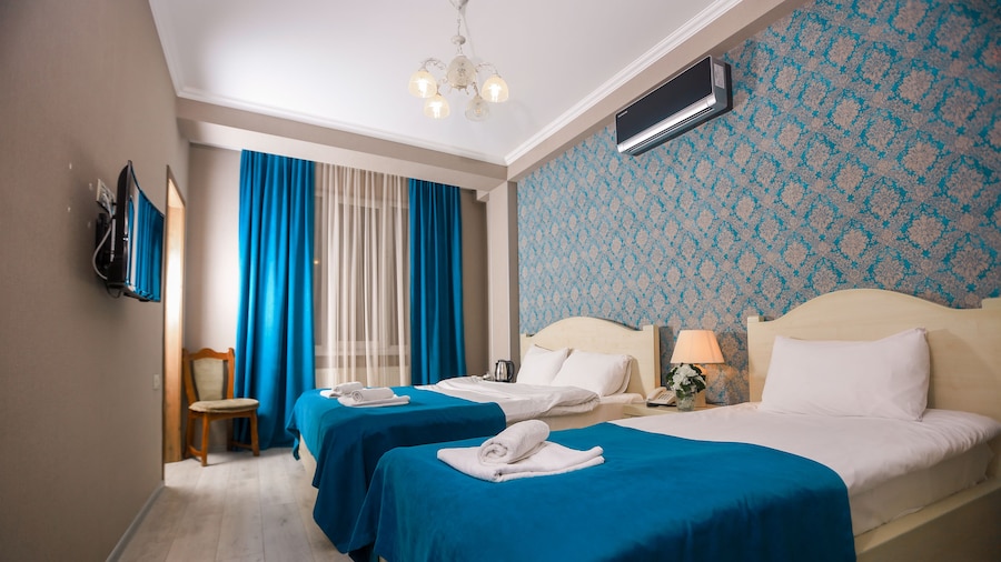 Hotel New Metekhi