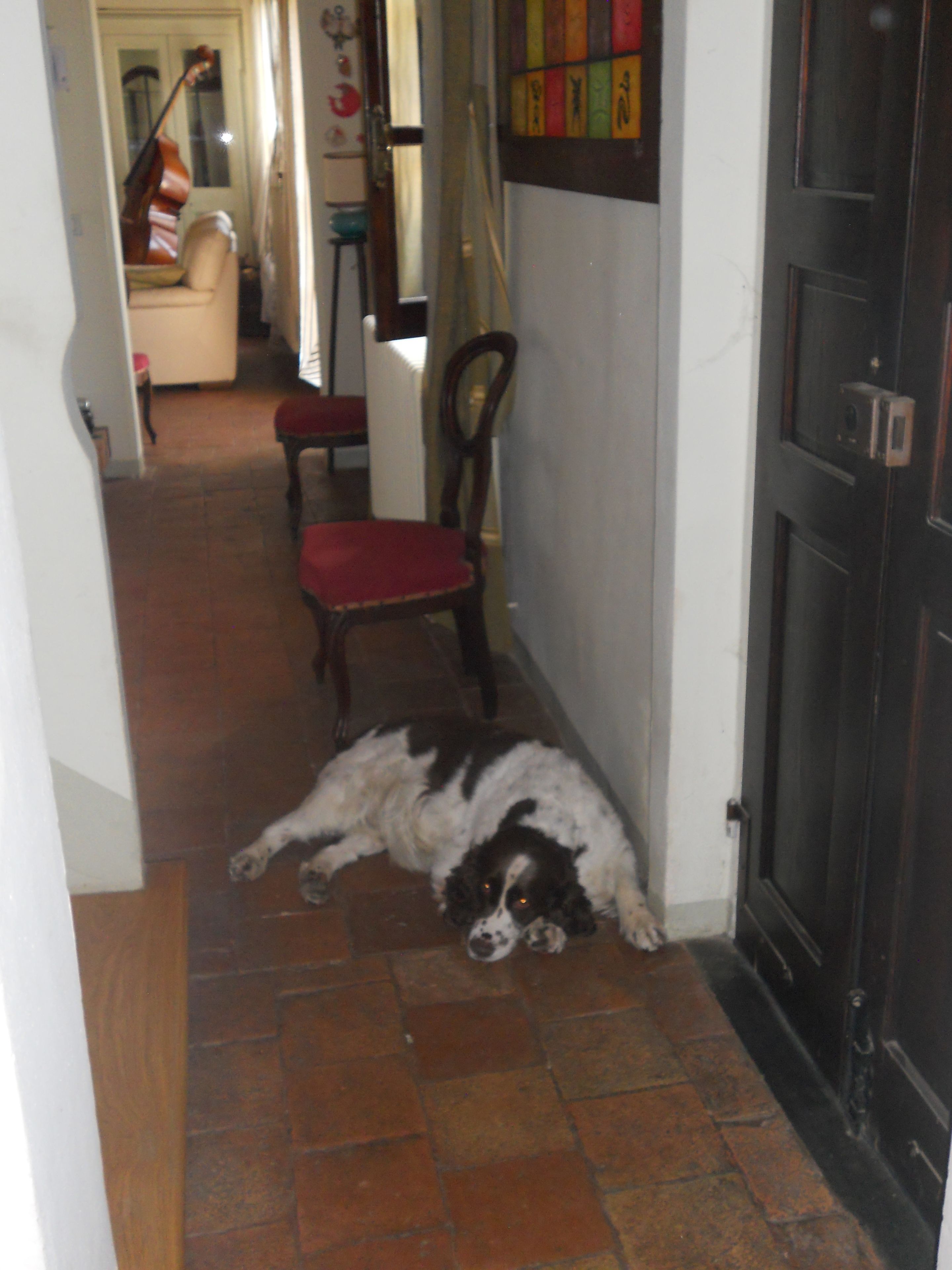 A hallway with a tiled floor, a wooden door, and a red chair.