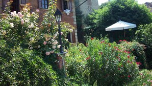 Un jardín con rosas y un paraguas blanco.