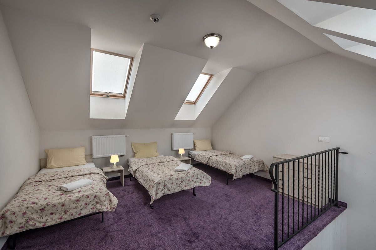 A room with two beds, a purple carpet, a black railing, and skylights.