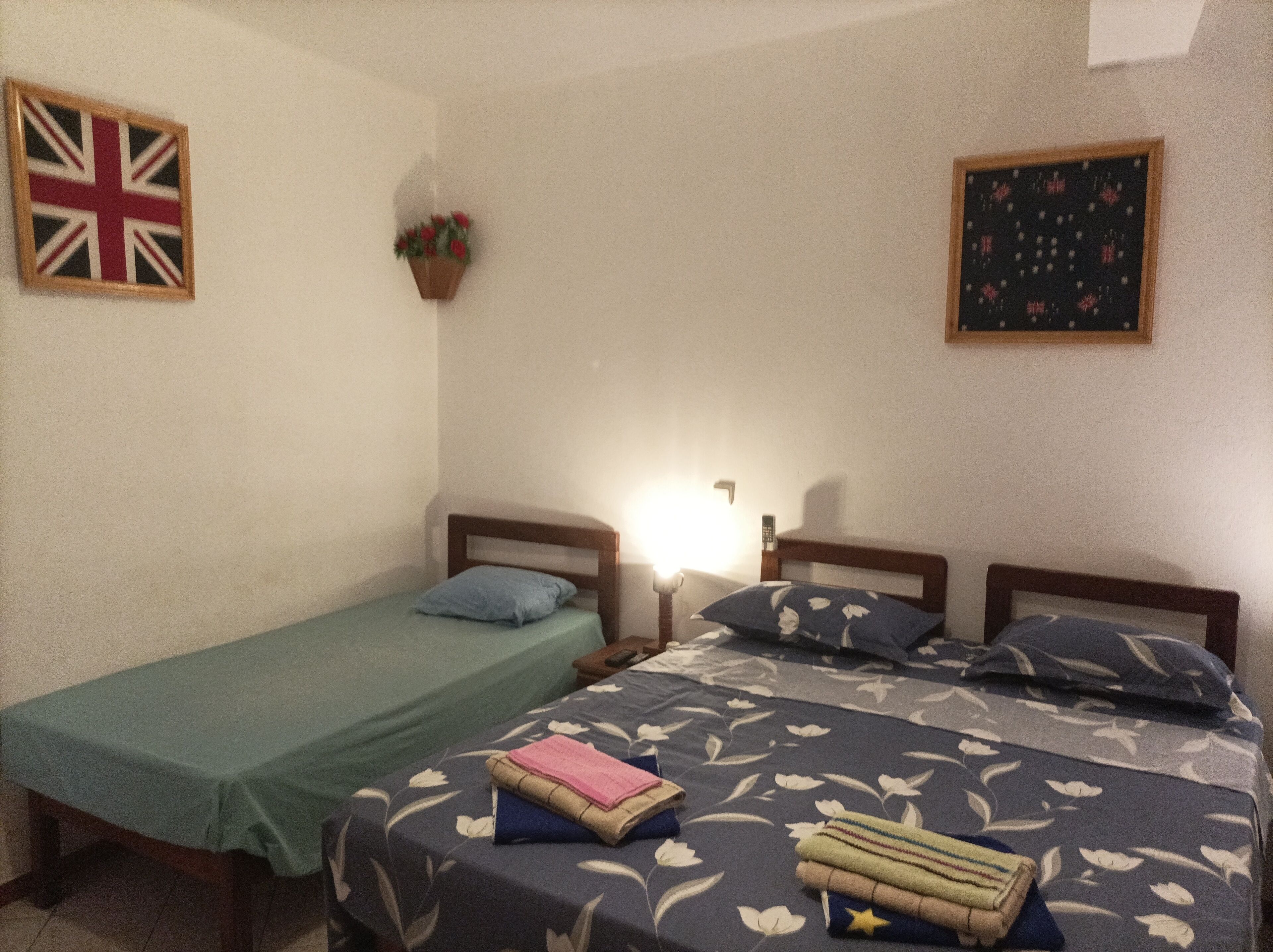 Una habitación con dos camas, una planta colgada en la pared y un cuadro enmarcado.