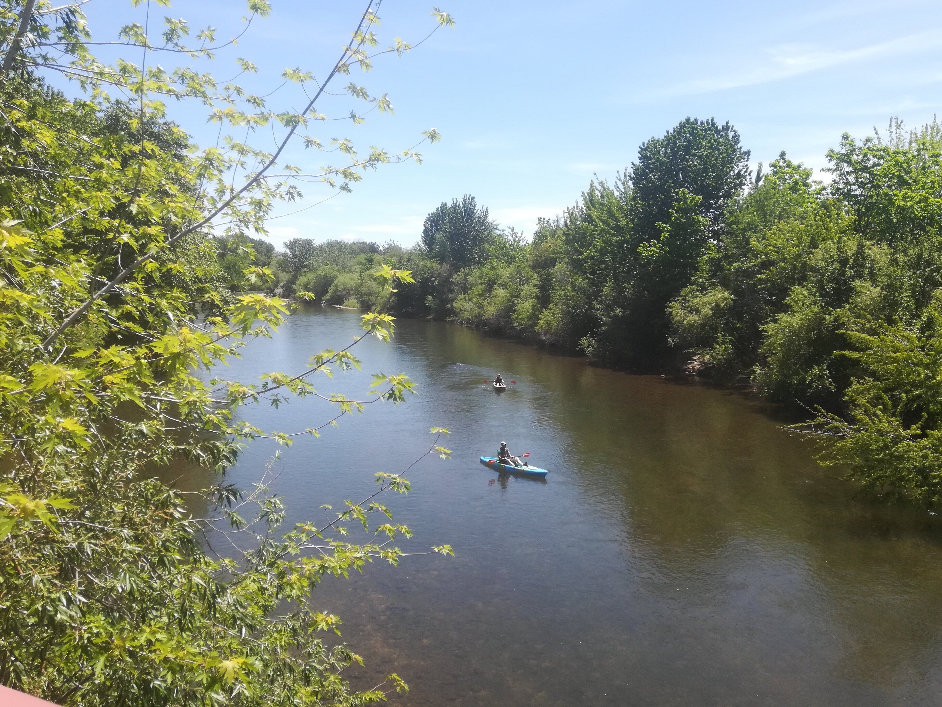 Un río rodeado de vegetación exuberante, con kayaks a la vista en el agua.
