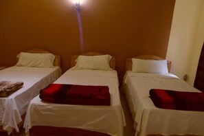 Trippelrum - 3 enkelsängar - privat badrum | Utsikt från rummet