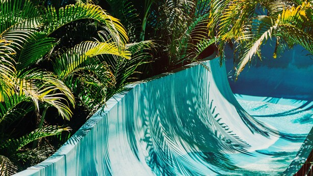 A water slide with a pool and tropical foliage.