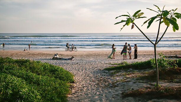 A beach with people, a bicycle, and a palm tree. - Olas Verdes Hotel (Nosara)