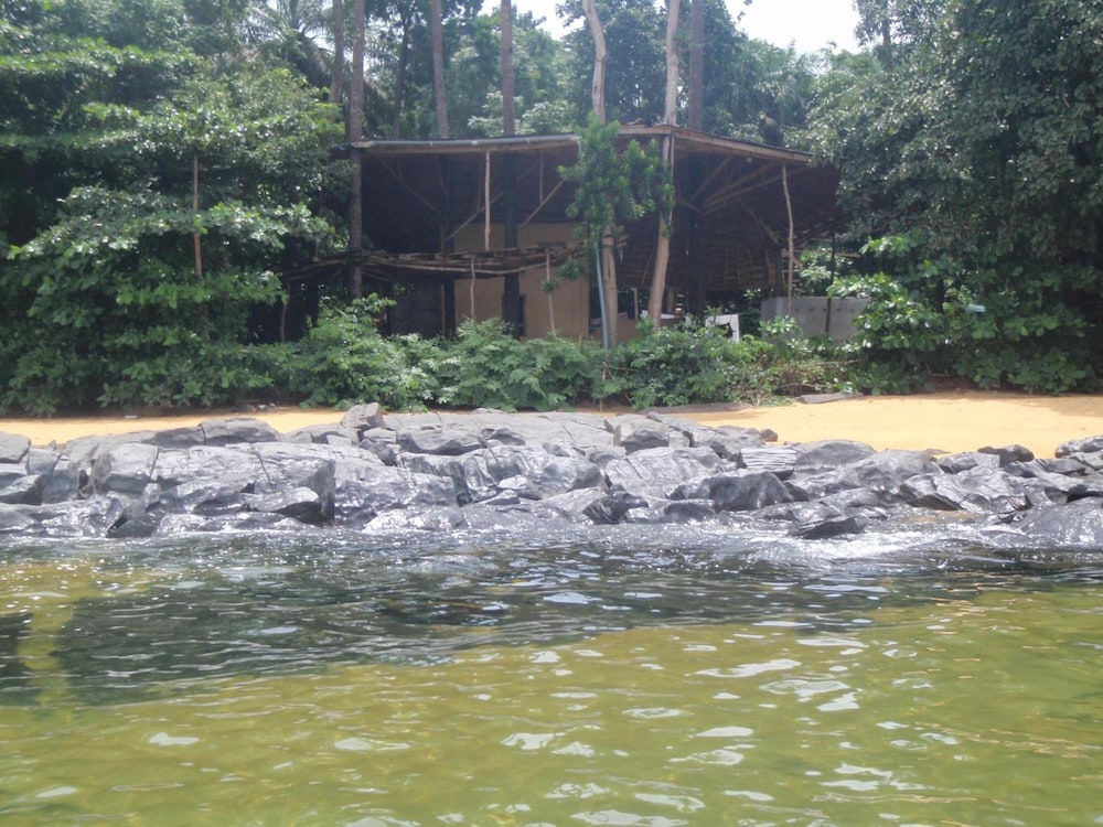 Daltons Banana Guesthouse by null