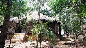Une cabane rustique au toit de chaume, entourée d’une végétation luxuriante et posée sur un sol en terre battue.
