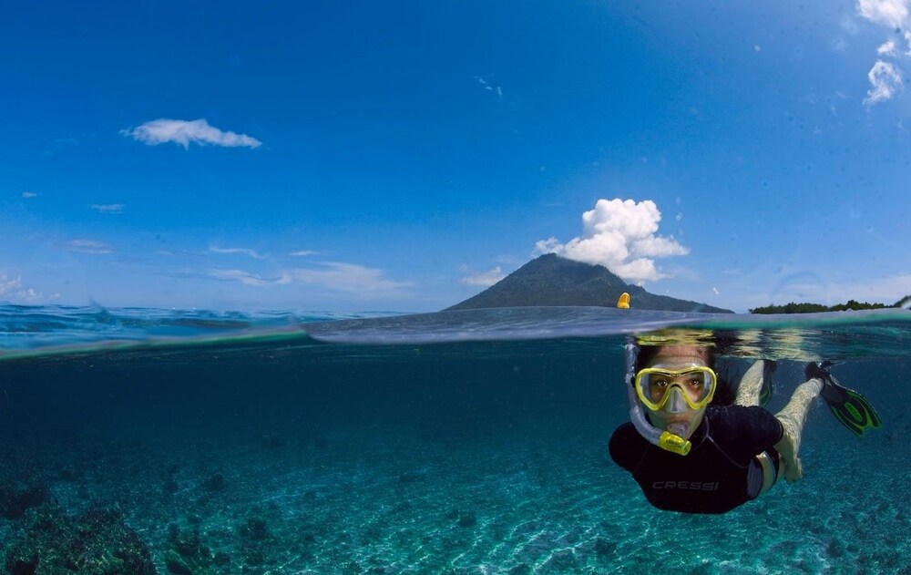 Daltons Banana Guesthouse by null