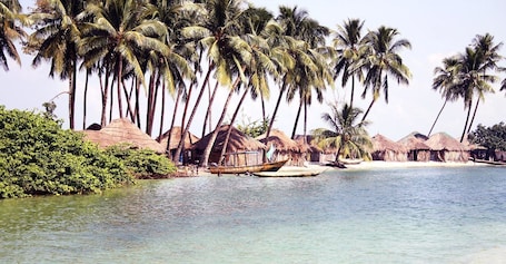 On the beach, white sand, scuba diving, snorkelling. Daltons Banana Guesthouse
