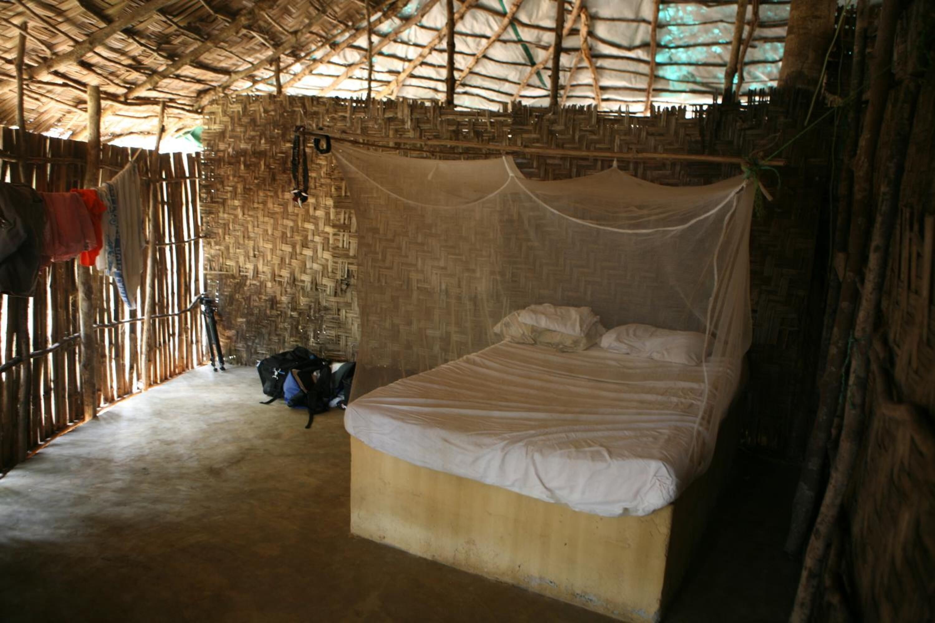 Daltons Banana Guesthouse