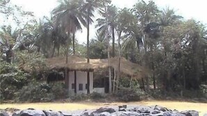 Une petite cabane rustique, dotée d’un toit de chaume, est entourée d’une végétation tropicale luxuriante.