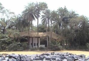 Property grounds - Daltons Banana Guesthouse (Banana Islands)