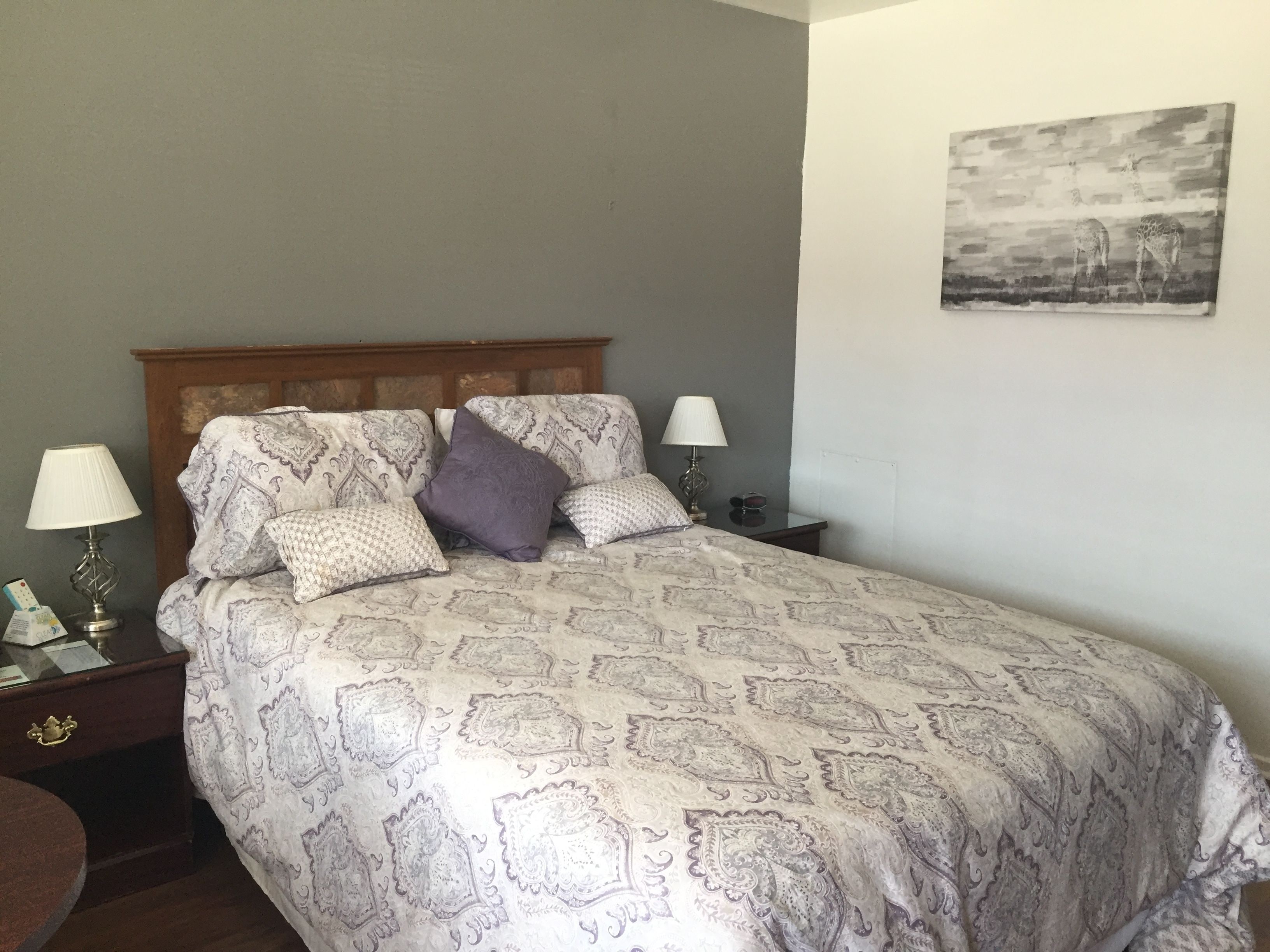 Chambre Confort, 1 grand lit, réfrigérateur et four à micro-ondes