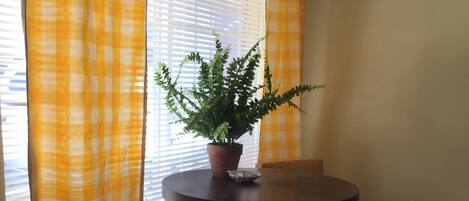 A dining area with a round table, two woven chairs, a potted plant, and a window with blinds.