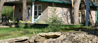 Lake's End Cabin Resort