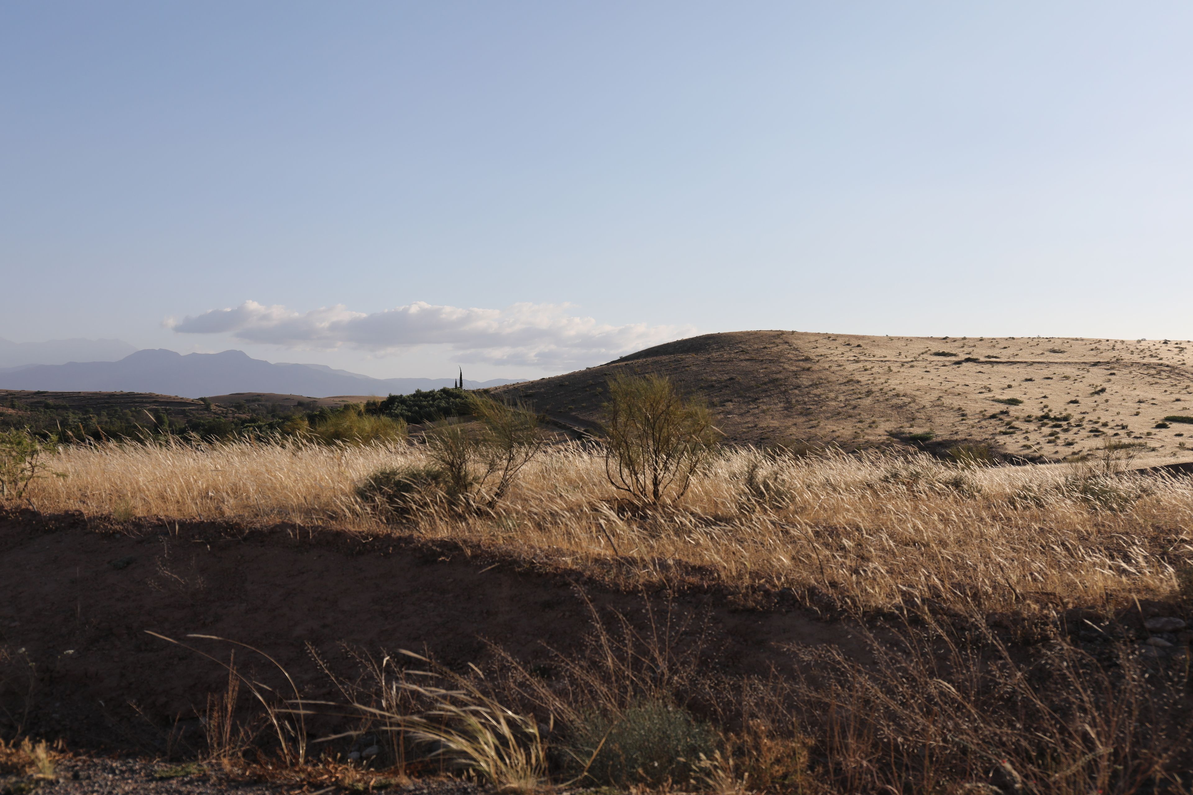 land view from property
