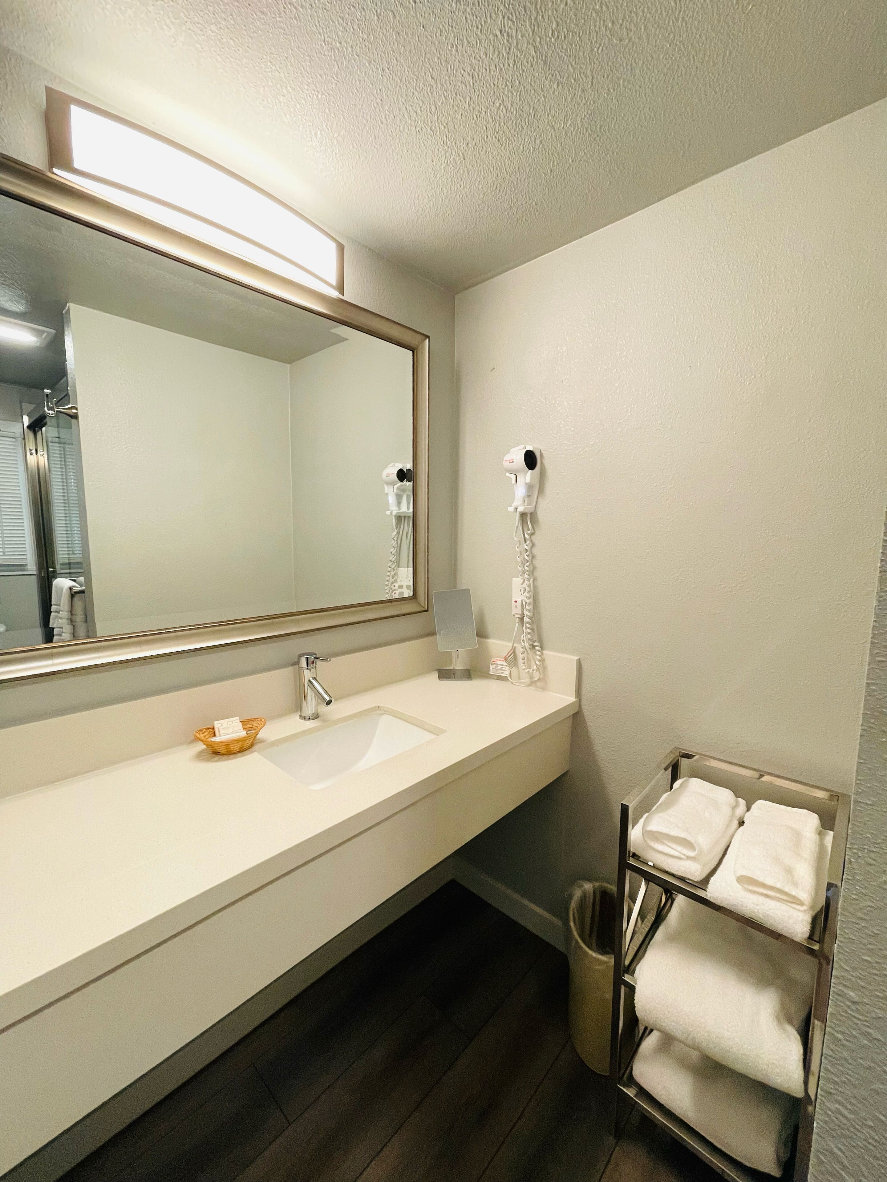A bathroom with a large mirror, a sink, a hairdryer, and a towel rack.