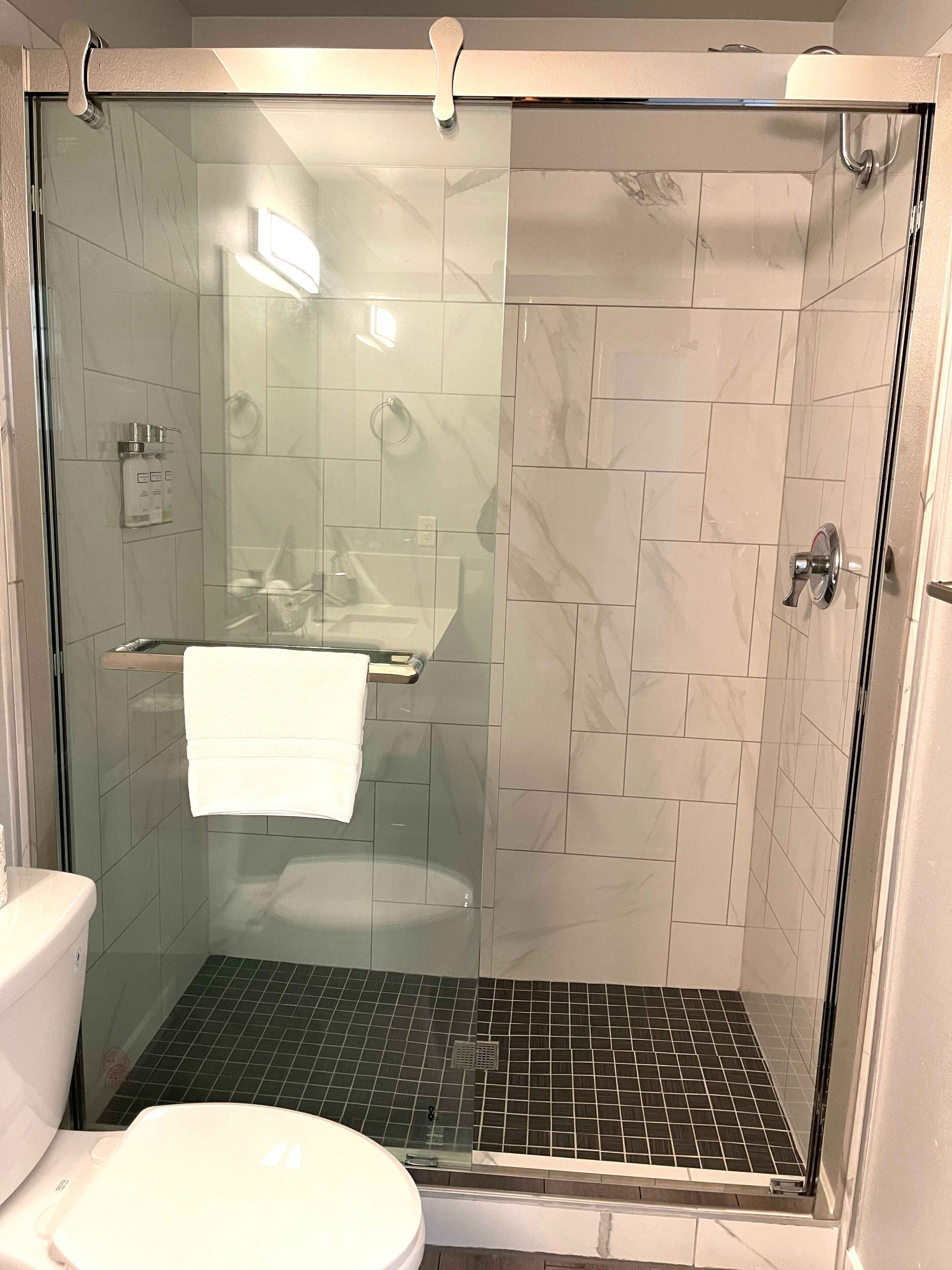 A glass-enclosed shower with a white toilet and a towel rack.