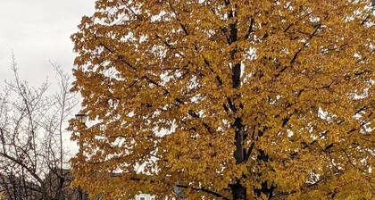 Third Mission Heritage Suites