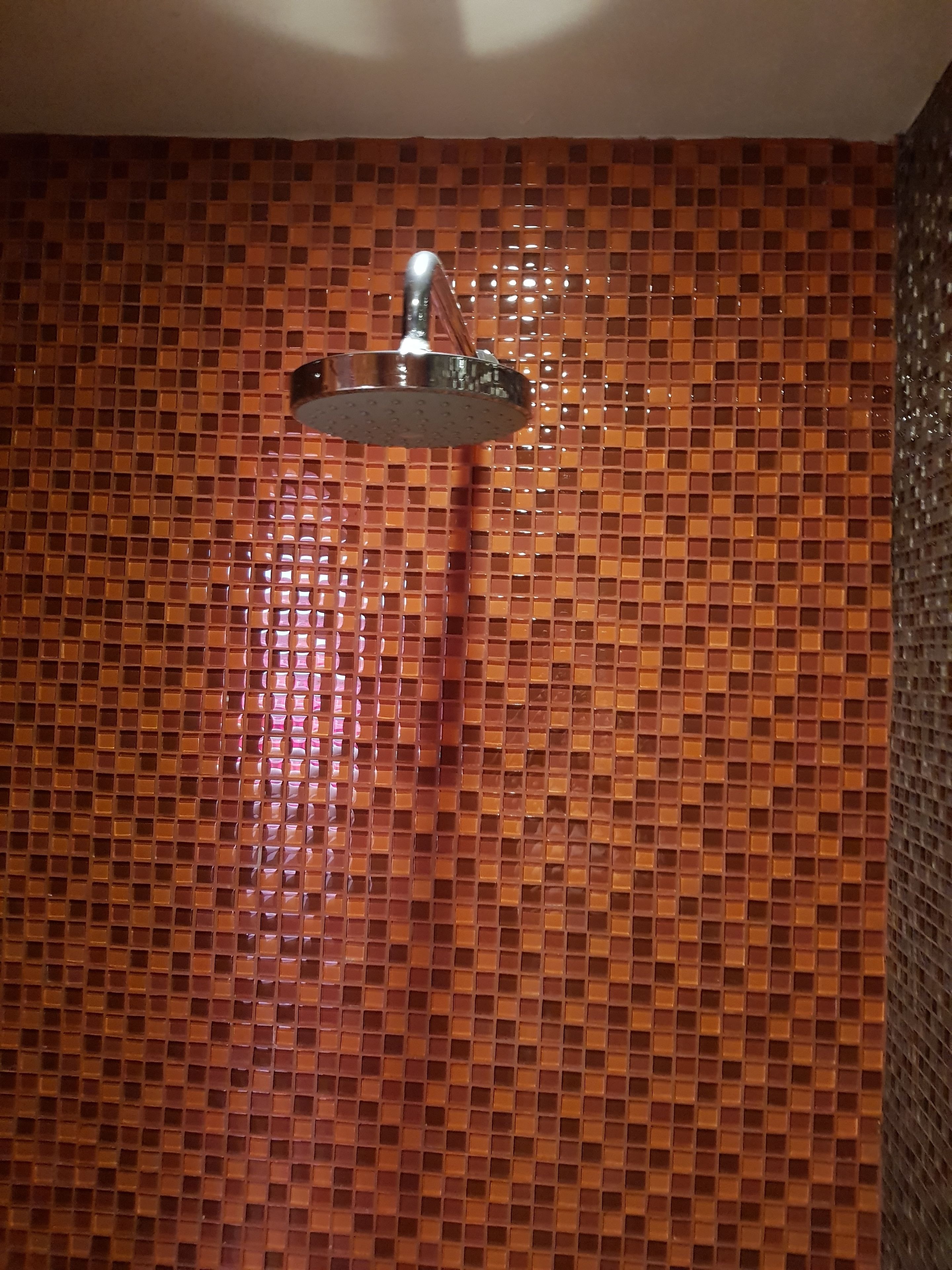 standard room | bathroom shower