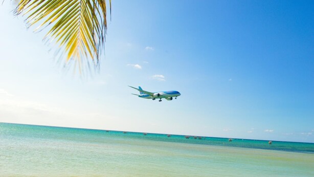 An airplane flying over a beach with clear turquoise water and a palm tree on the left. - On Top of The Bay (Montego Bay)