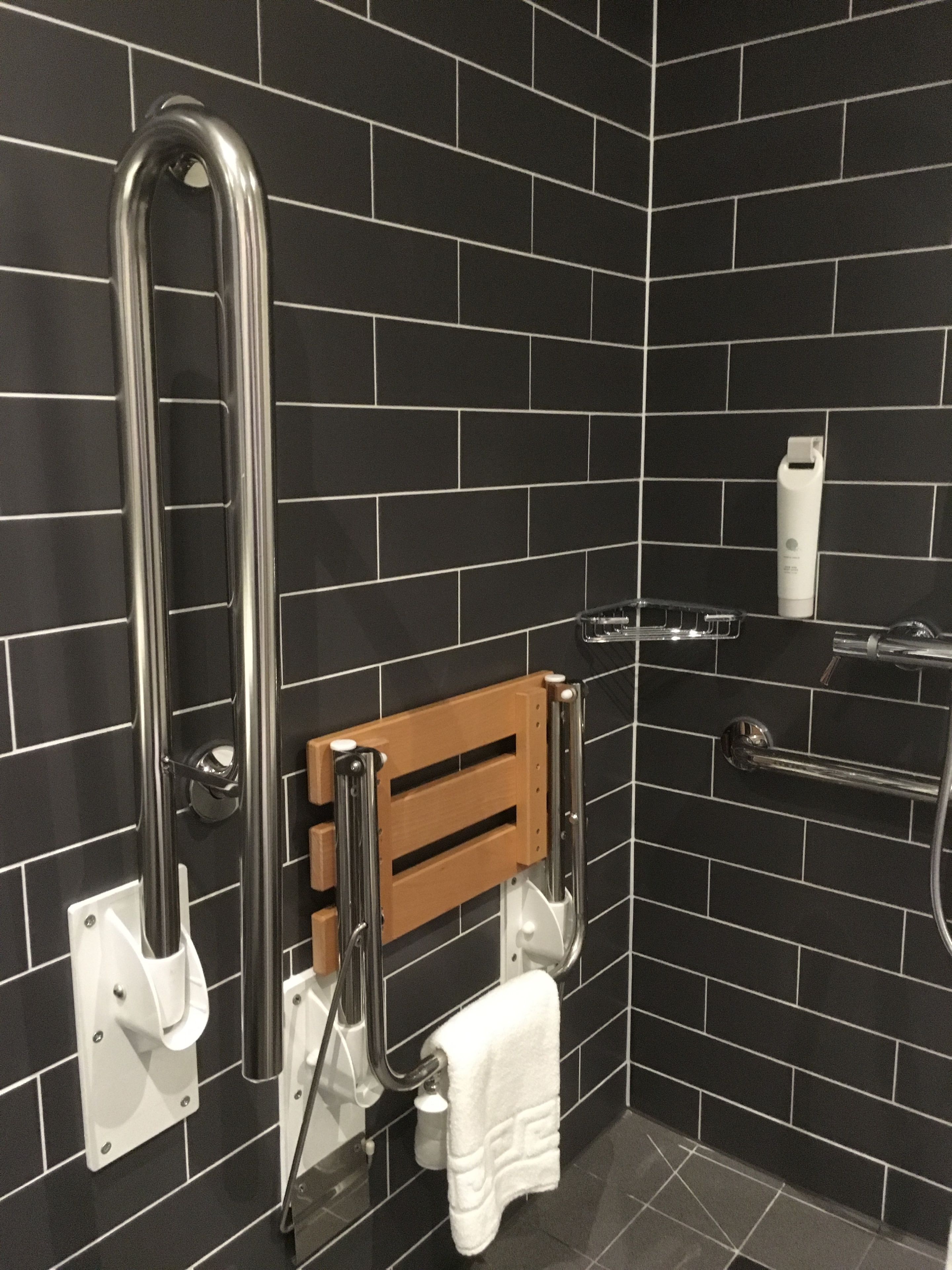 room, 1 double bed, accessible (with free hot breakfast) | bathroom | shower, hydromassage showerhead, free toiletries, hair dryer