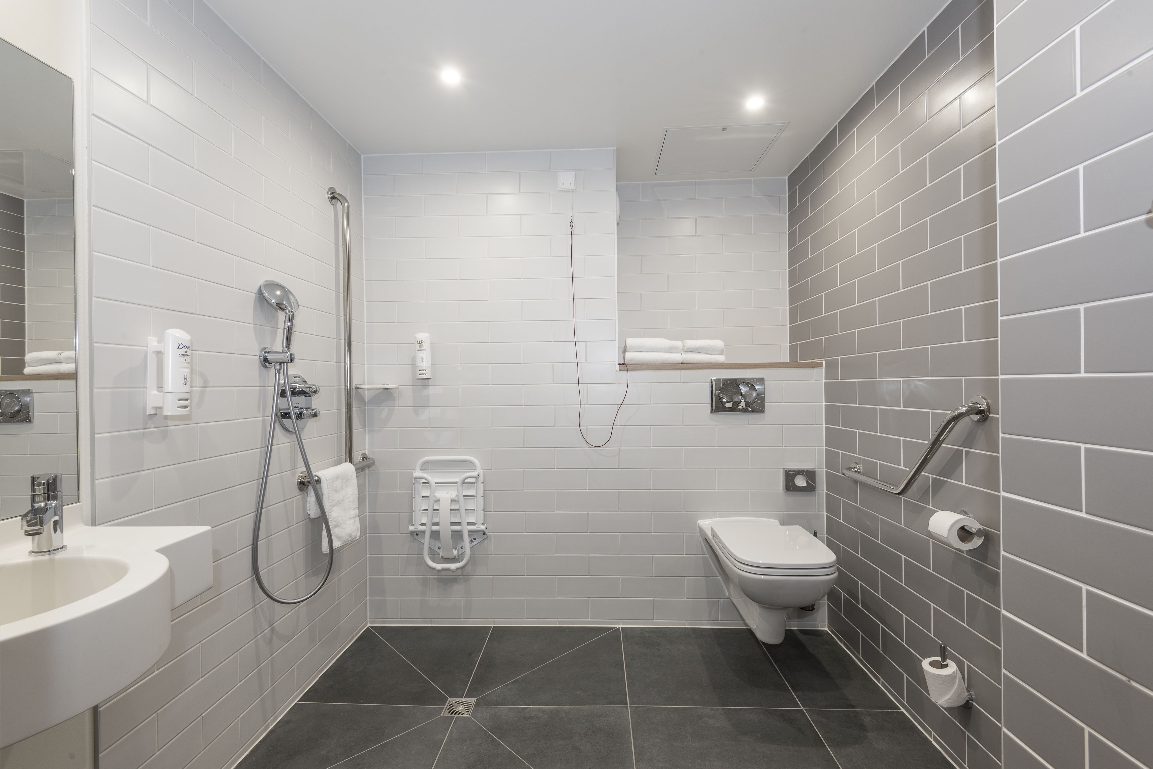 standard room, 1 double bed, accessible | bathroom | shower, hydromassage showerhead, eco-friendly toiletries, hair dryer