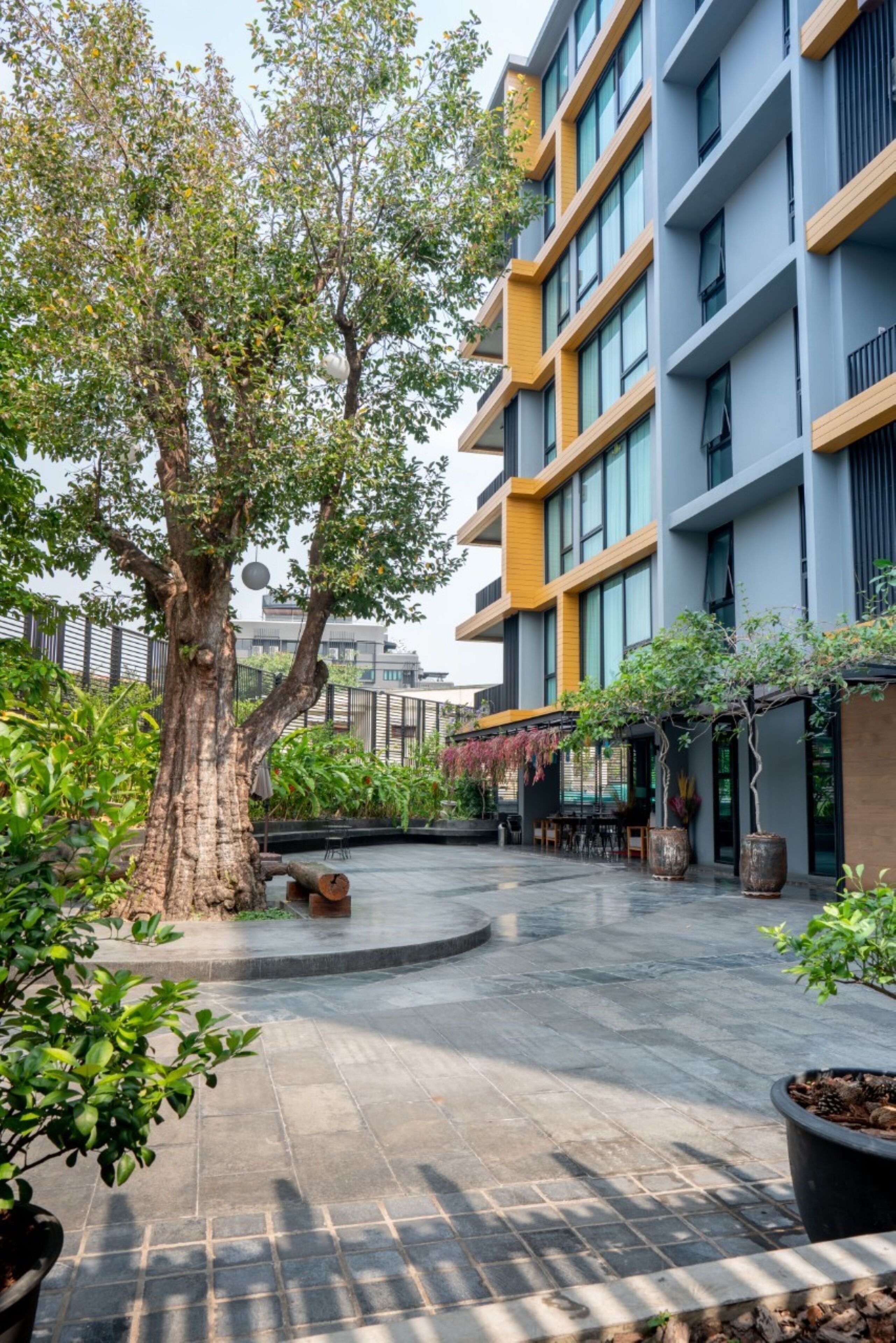 Foto - Sanae' Hotel Nimman