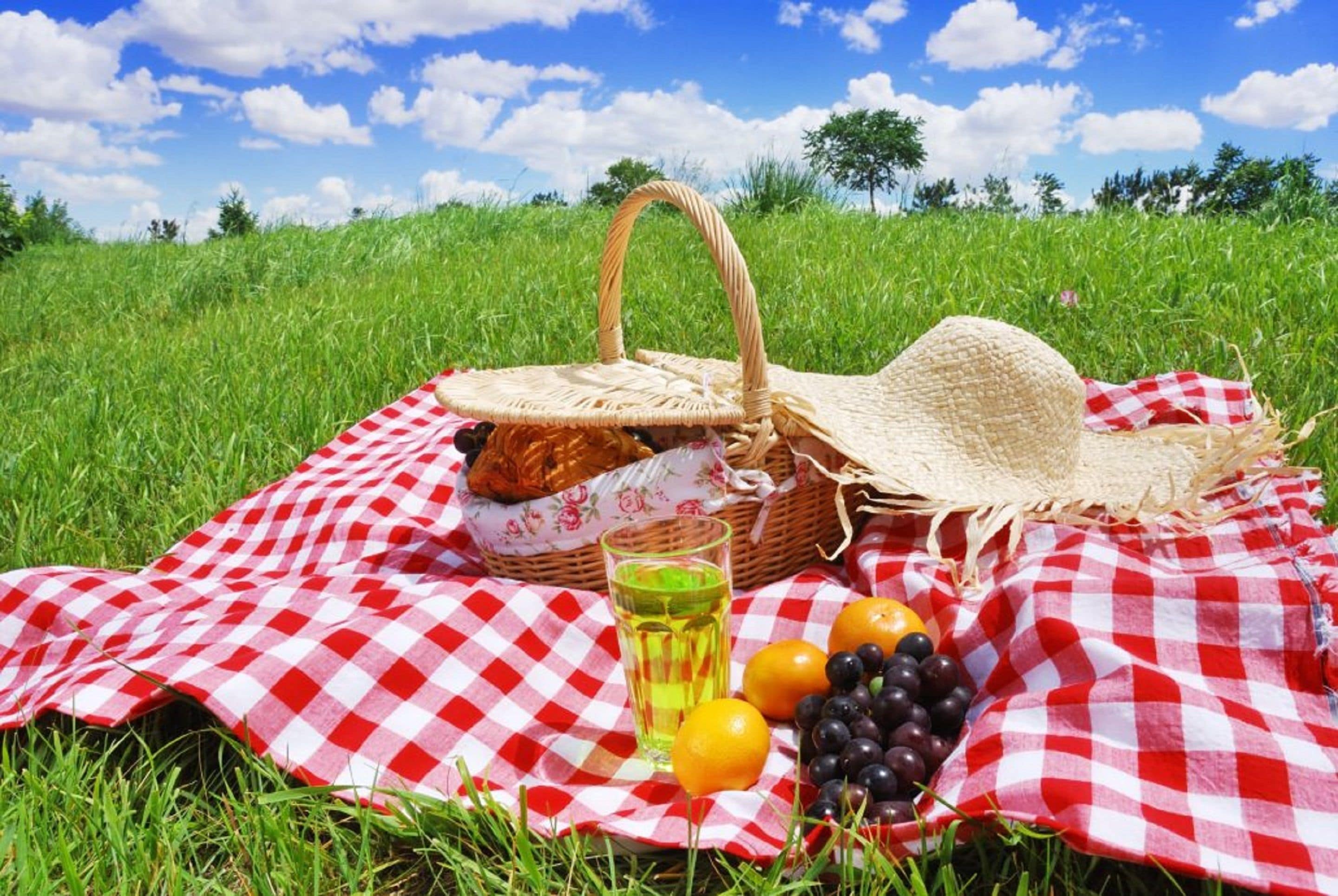 Khu BBQ/picnic