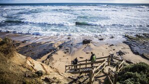 A coastal beach with a wooden staircase leading down to the shore, rocky terrain, and the ocean. - Alkina Lodge (Wattle Hill)