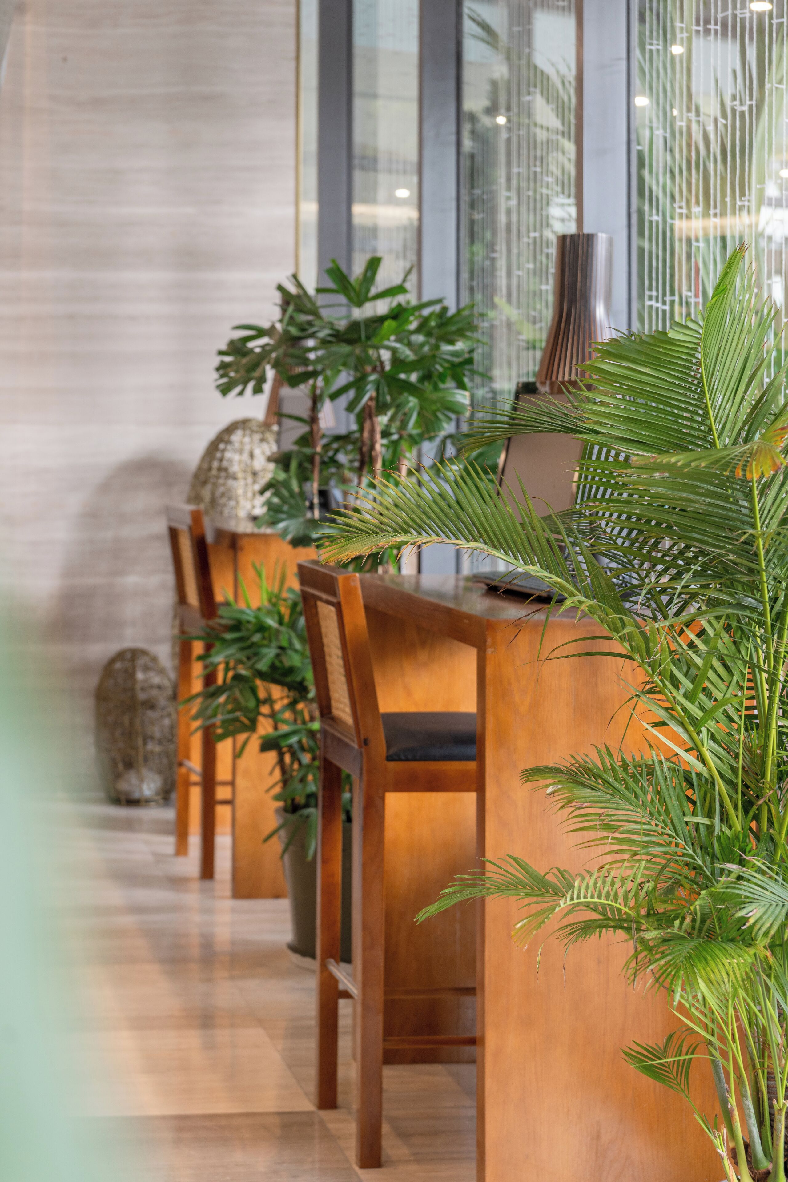 A wooden reception desk with chairs, potted plants, and a modern interior design.