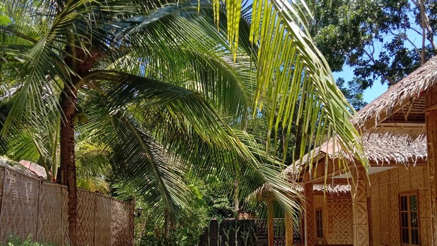 A pathway leading to a thatched-roof building with a wooden fence and potted plants. - Alona Pawikan (Panglao)