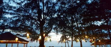 ビーチ、スキューバダイビング、シュノーケリング、釣り