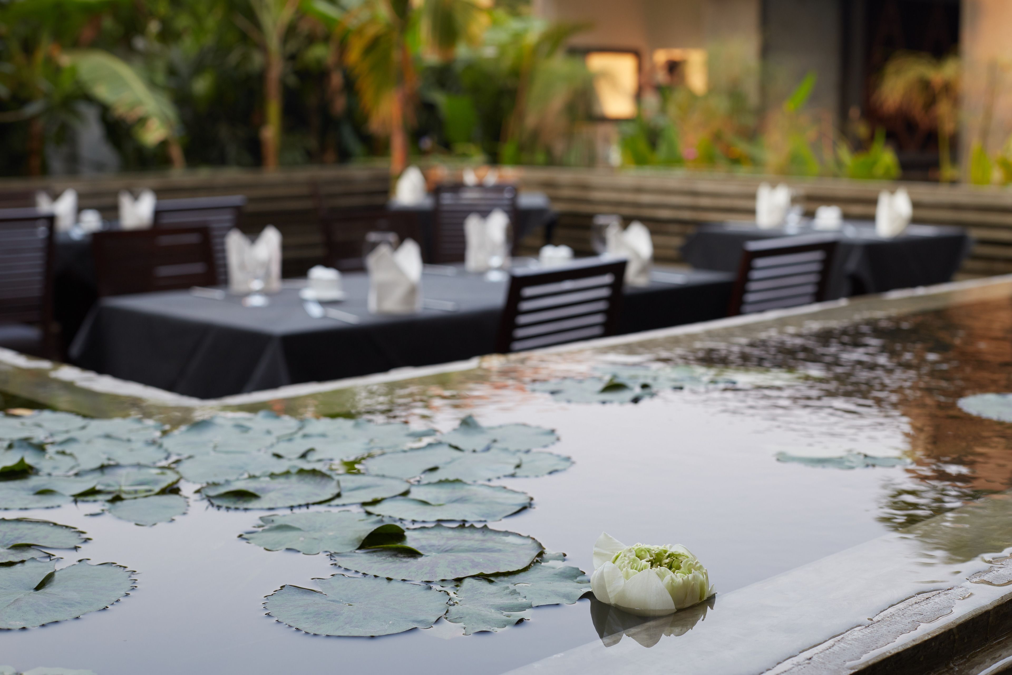 breakfast, lunch, dinner served; international cuisine, pool views