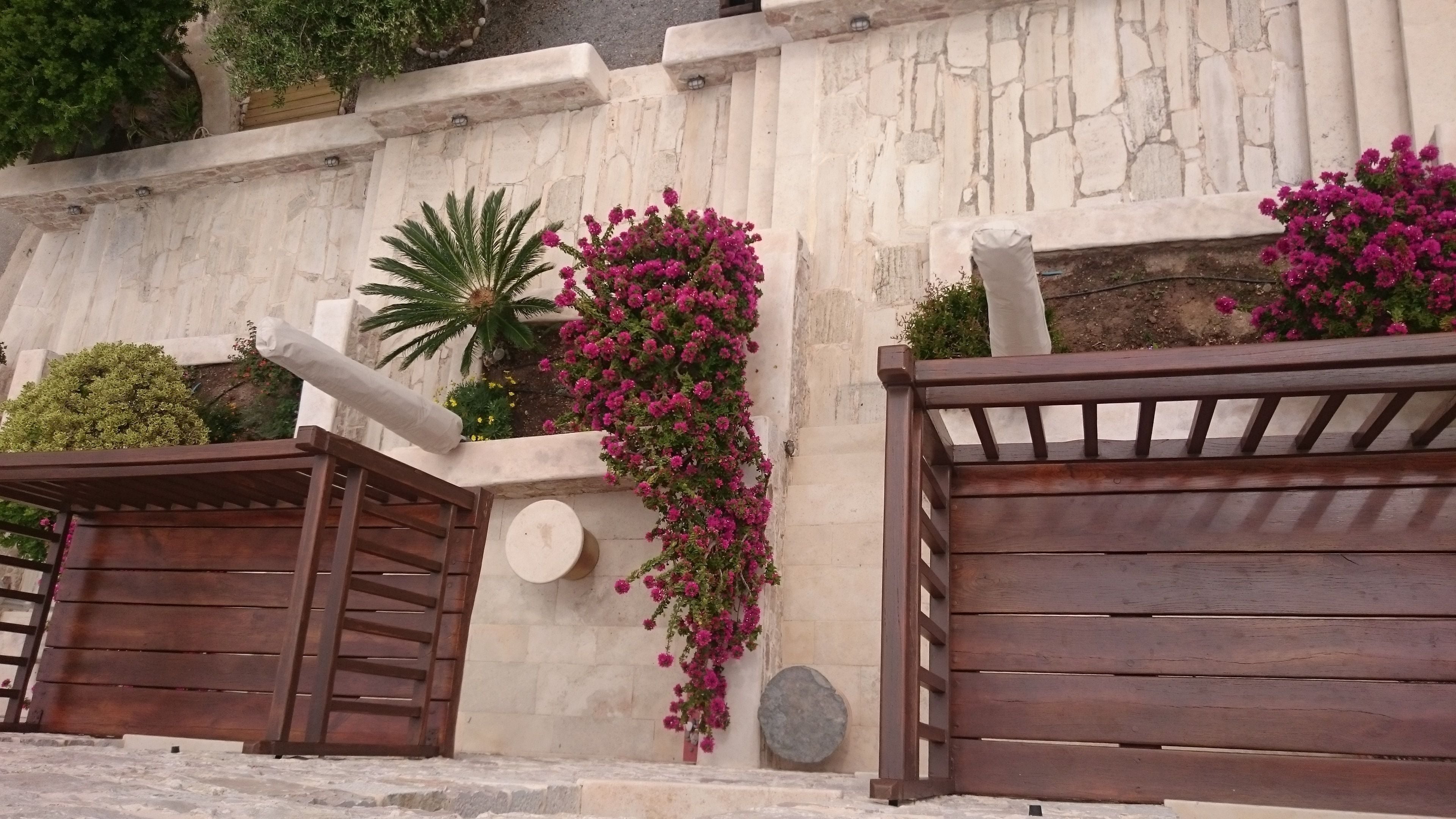 Una entrada protegida con muro de piedra, una palmera y plantas florecientes de color rosa.