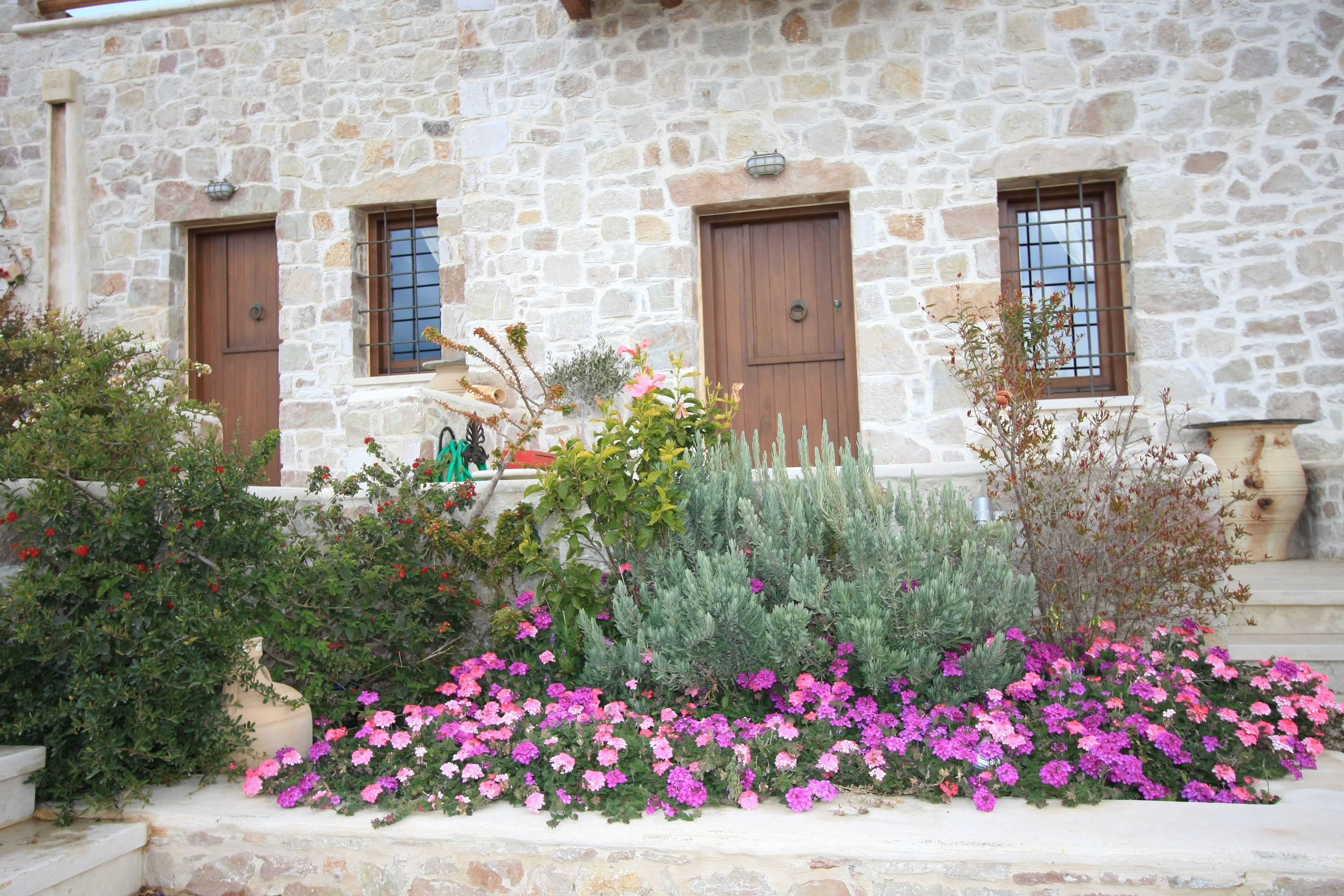 Paritalo | Terassi/patio