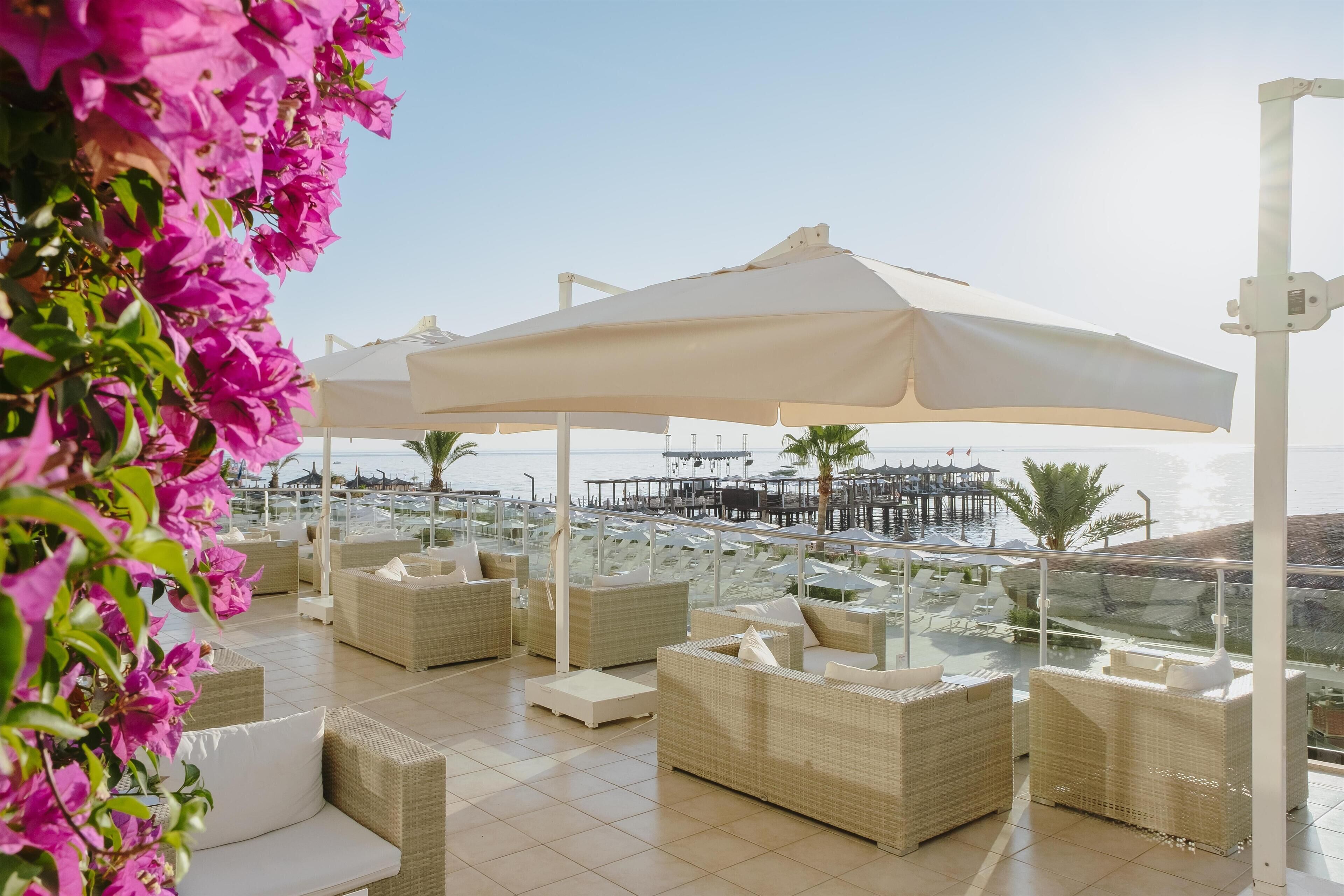 Een terras op het dak met rieten meubels en witte parasols, met uitzicht op een jachthaven en strand.