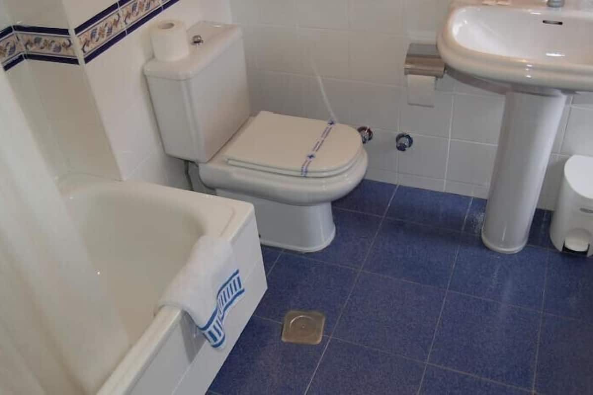 combined shower/bathtub, free toiletries, hair dryer, towels