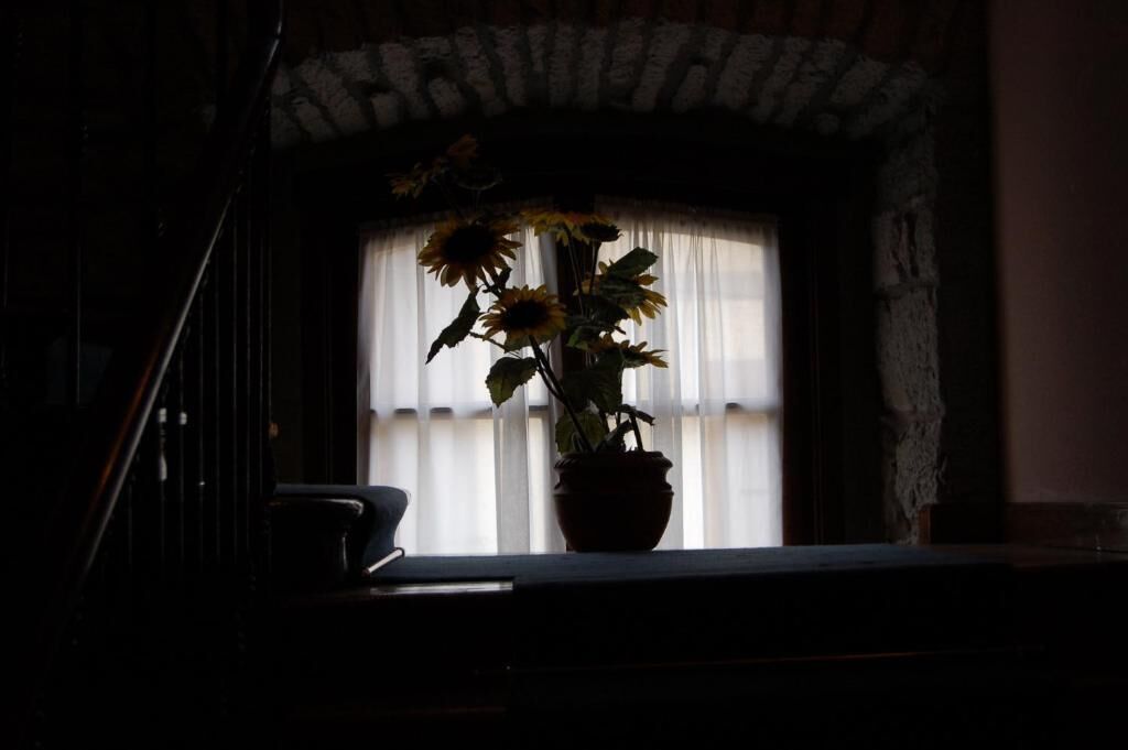 Foto - Hotel Puente Romano