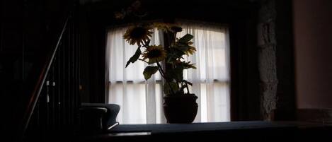 A potted plant with sunflowers on a windowsill.