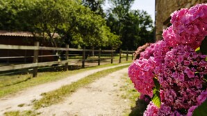 Un sentier de terre mène à un bâtiment rustique entouré d’une clôture en bois.
