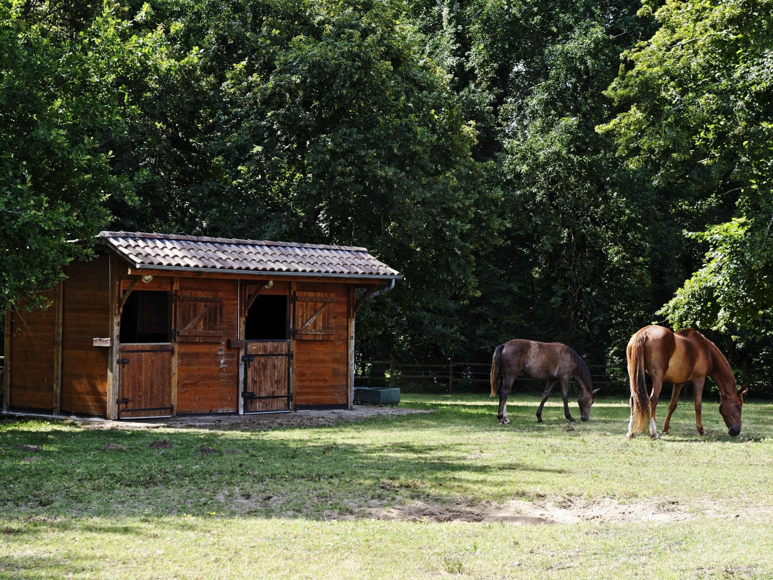 A wooden stable with a tiled roof and open doors, surrounded by a grassy field and dense trees.